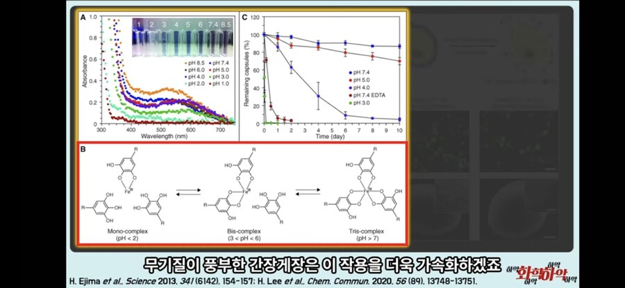 지구 온난화로 잘못 먹으면 죽는다는 일본 음식. jpg_6.jpg