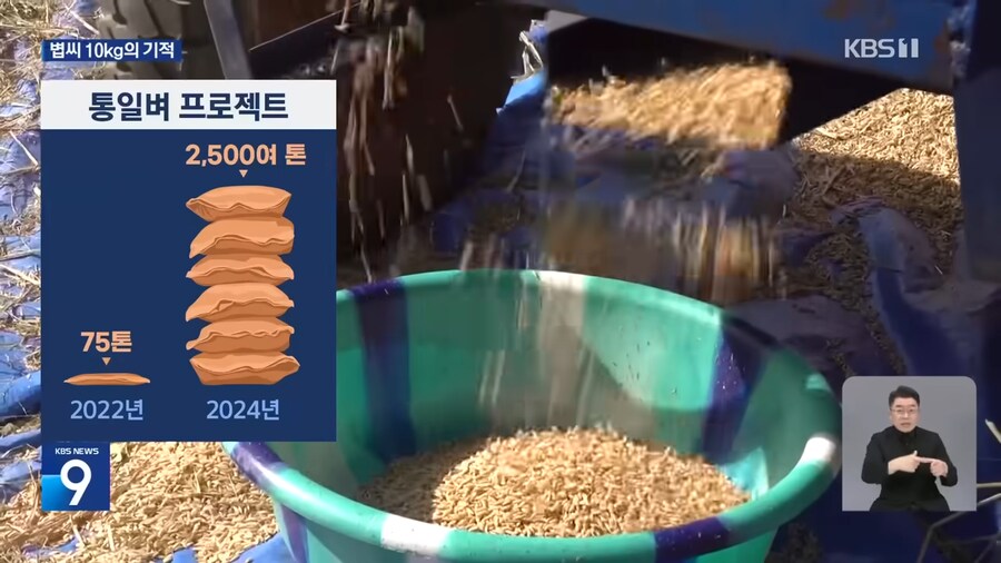 통일벼가 굉장하긴 굉장하구먼_5.png