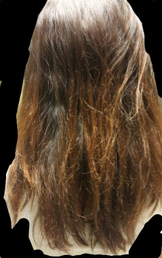 남자들은 모르는 장발 여성의 고충류 甲_1.jpg