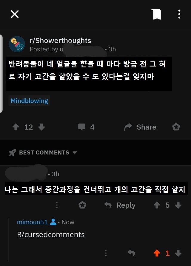 반려동물이 얼굴을 핥을 때.jpg_1.jpg