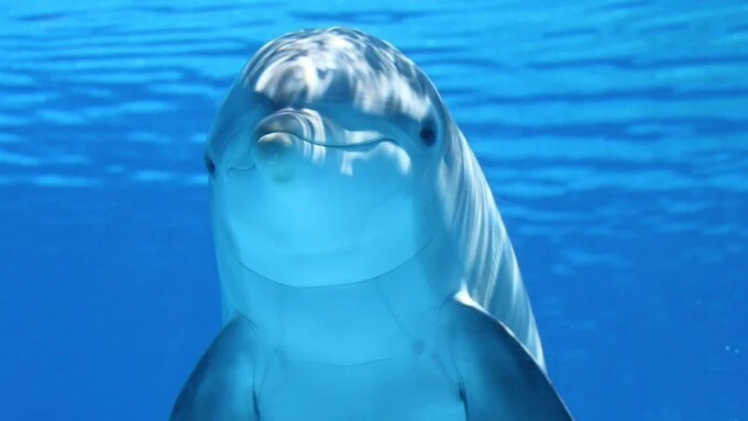 미키17)에서 생각보다 중요했던 소재_9.png