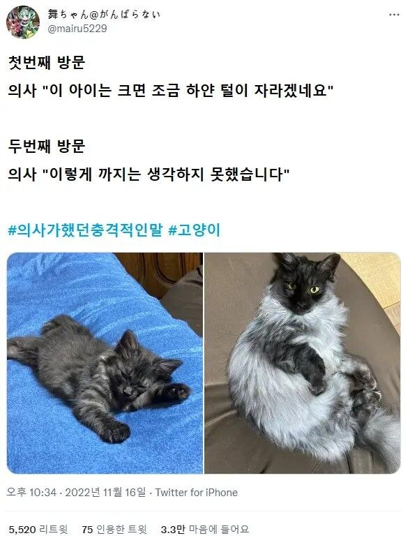 의사가 했던 가장 충격적인 말_5.jpg