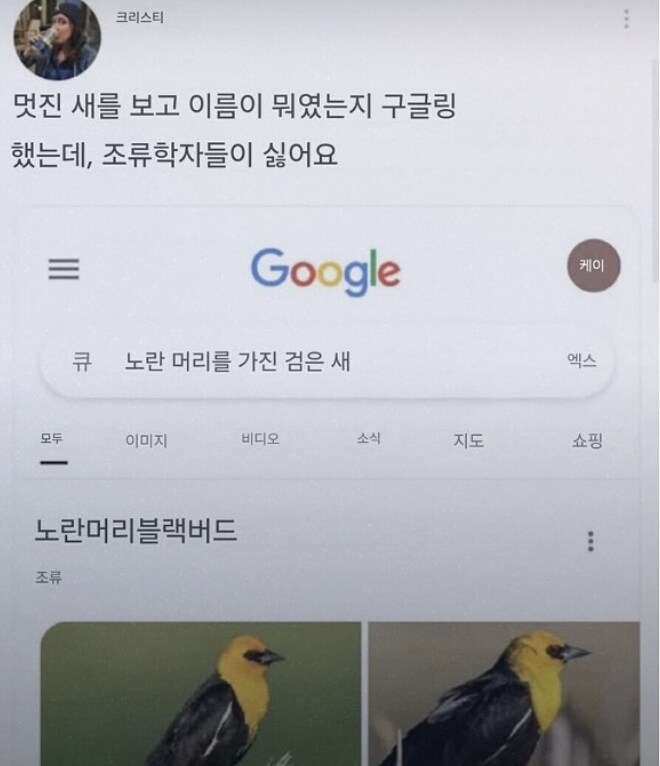 멋진 새를 보고 이름이 뭔지 찾아보다 조류 학자들이 싫어짐.jpg_1.png