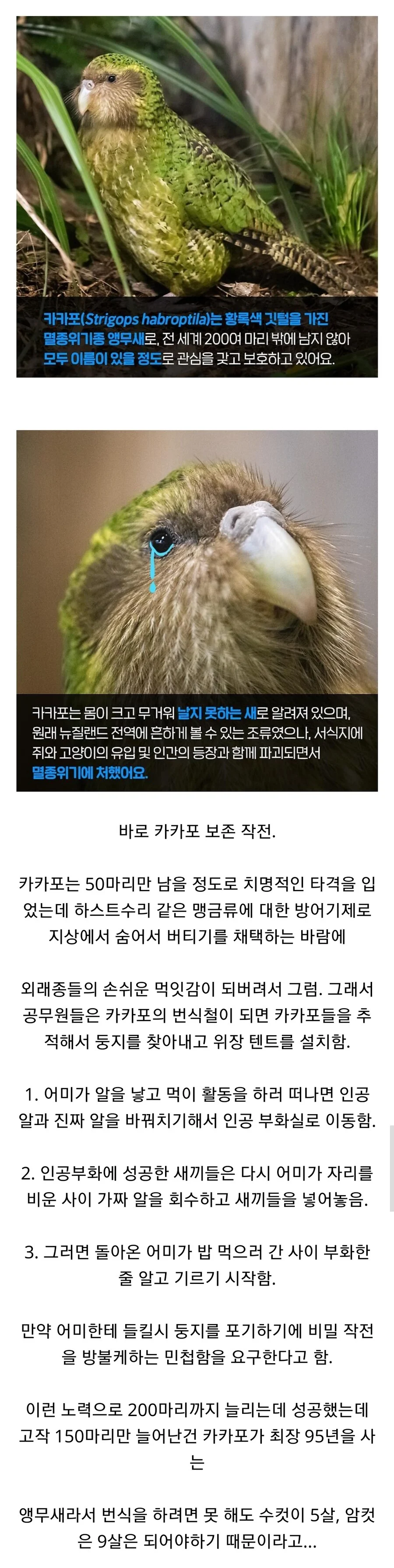 뉴질랜드 공무원들이 비밀작전을 하는이유.jpg_1.webp