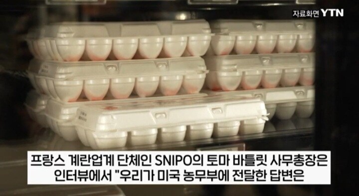 프랑스: 내가 먹고 죽을 계란도 없다고!!!_4.jpg