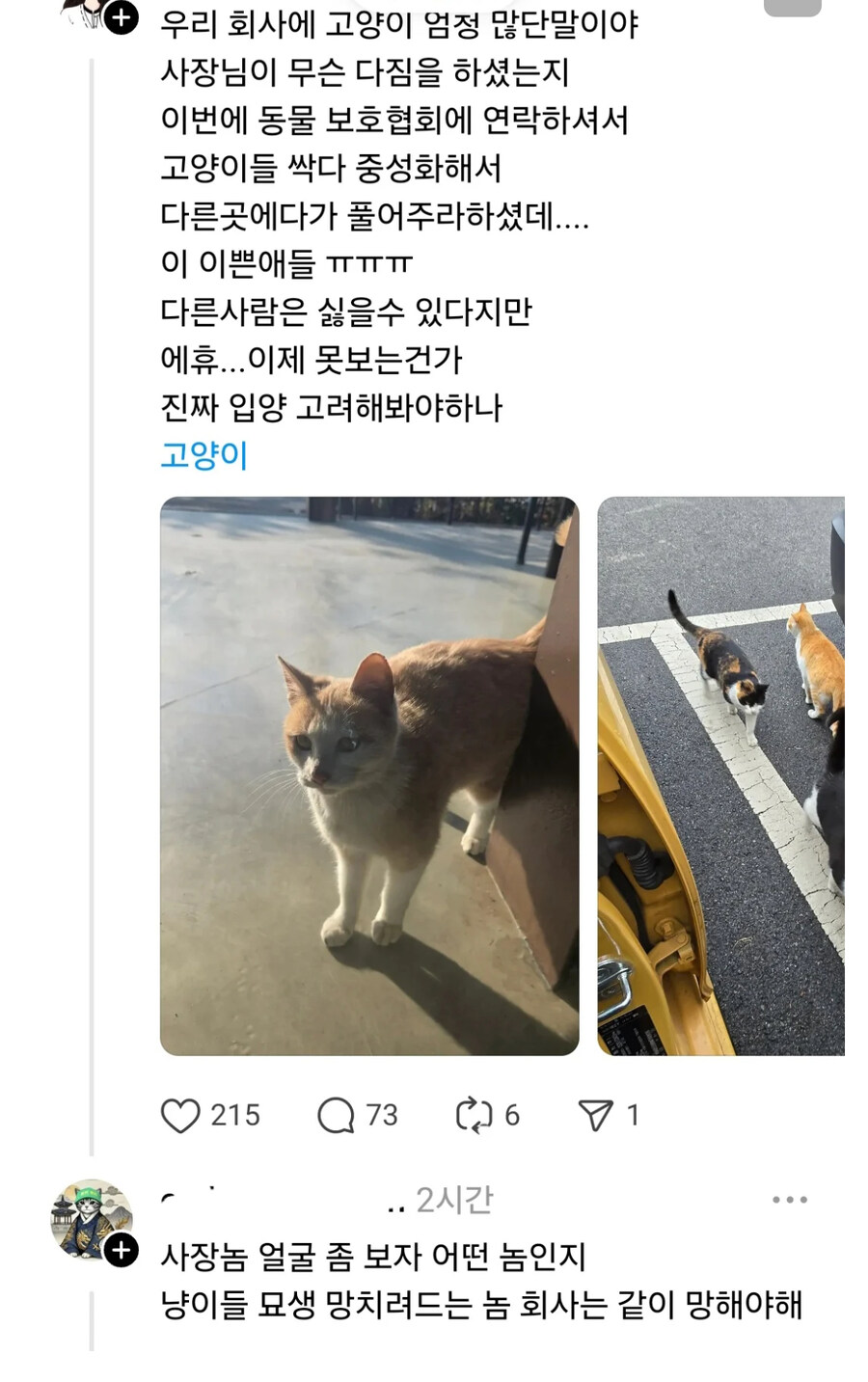 캣맘논리 레전드_1.jpg