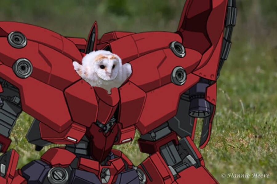 에호에호 달리는 부엉이 근황_1.jpg