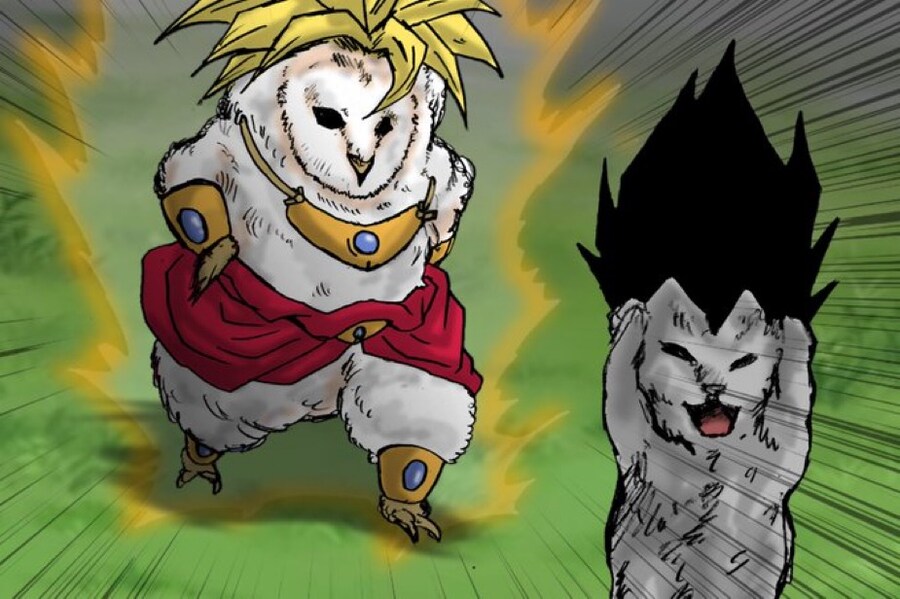 에호에호 달리는 부엉이 근황_8.jpg