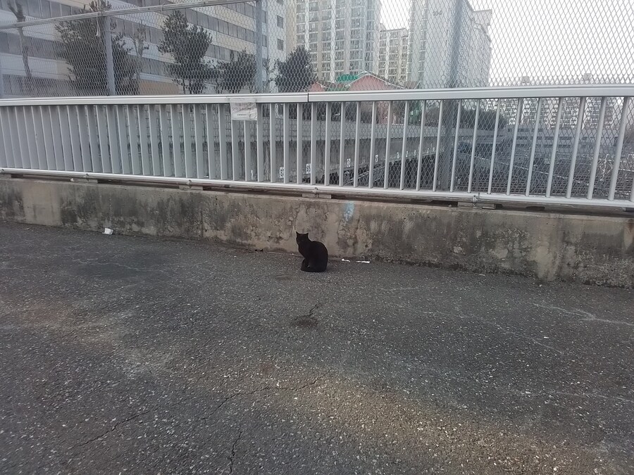 오늘 운수좋은날인가 생각했습니다._3.jpg