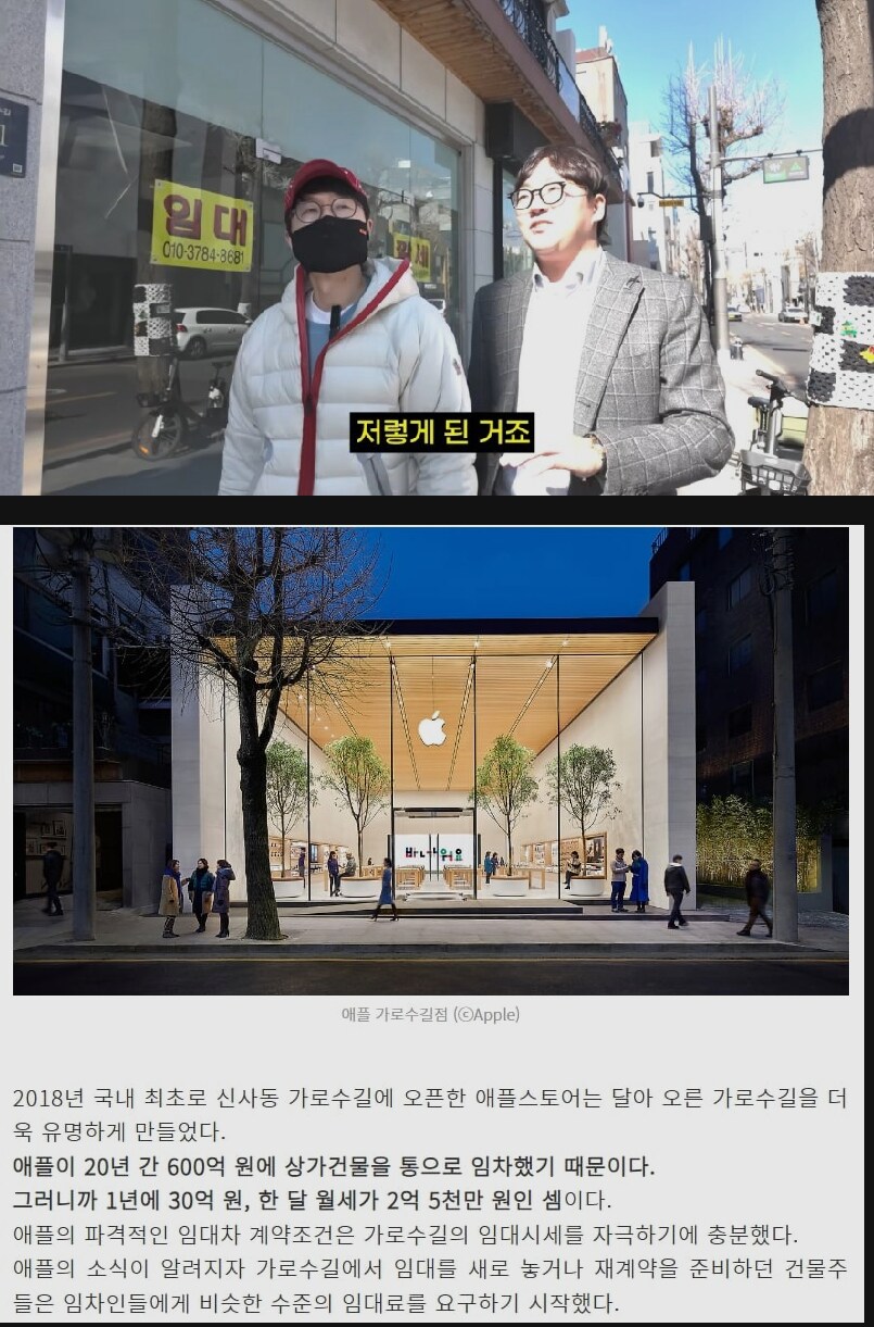 가로수길을 나락으로 끌어내린 건물_3.png