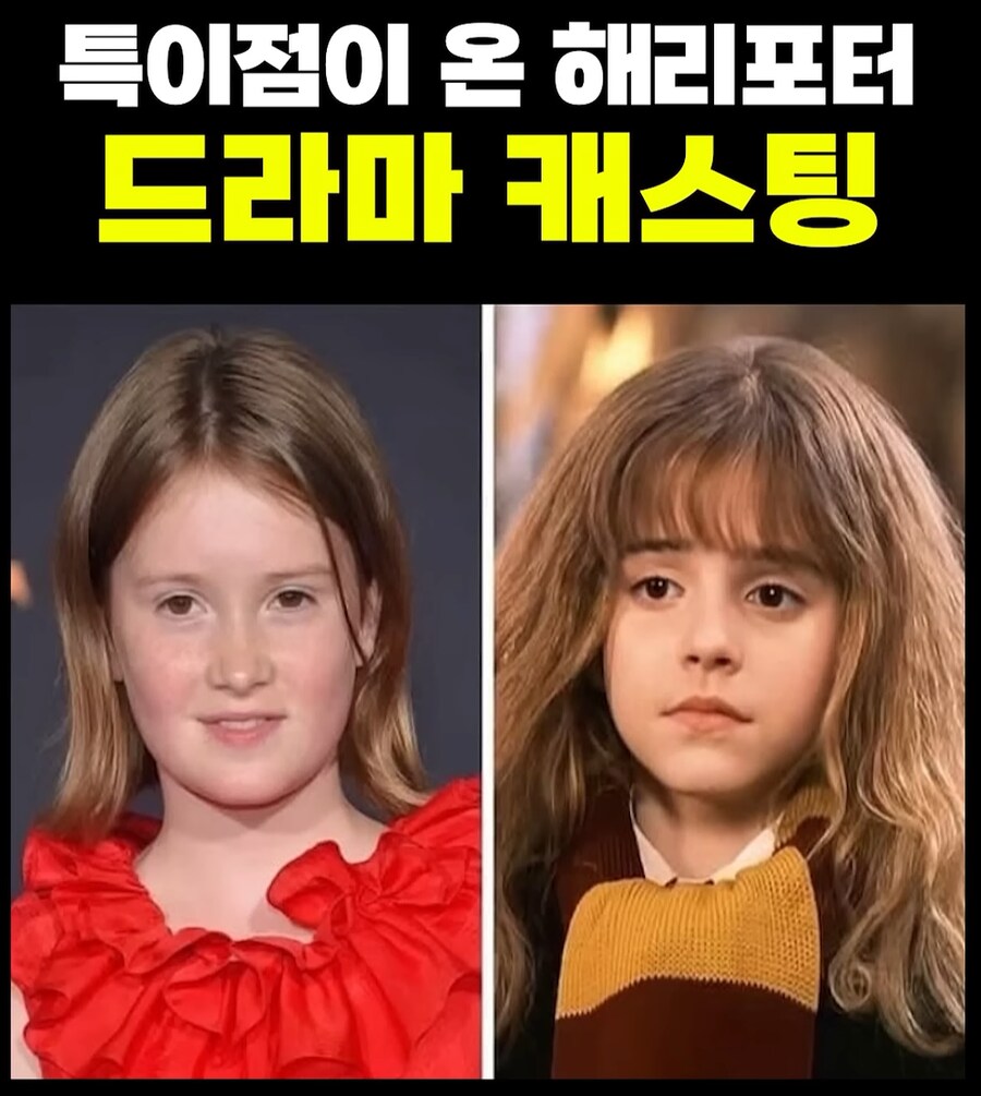해리포터 드라마 헤르미온느 배우 의견 엇갈림_1.png