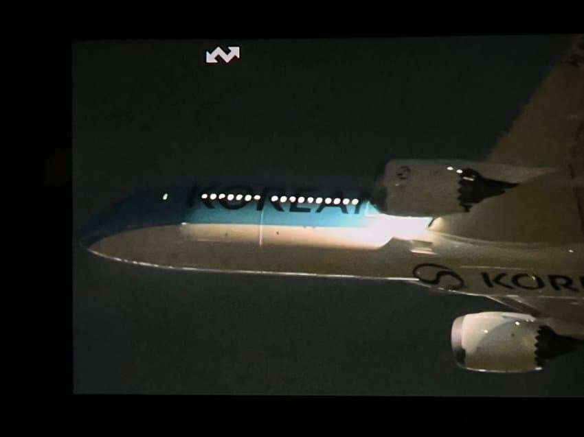 대한항공 신도장 기체 포착_2.jpg