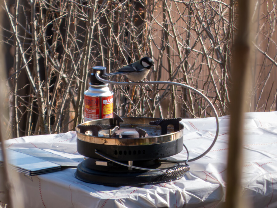 2월 망한 탐조_3.jpg