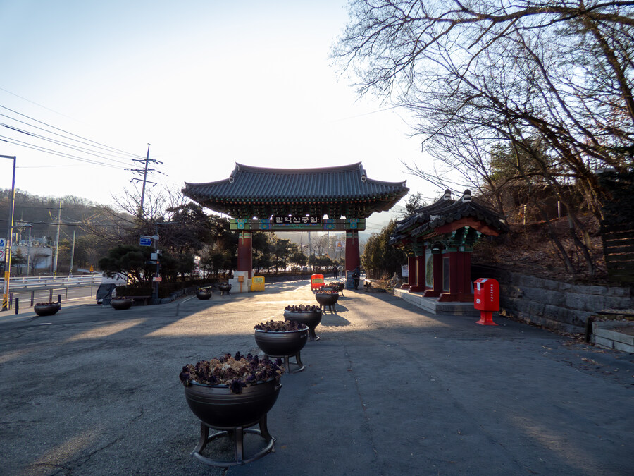 2월 망한 탐조_9.jpg