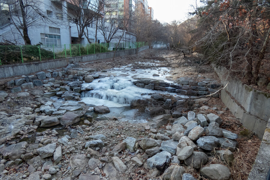 2월 망한 탐조_13.jpg