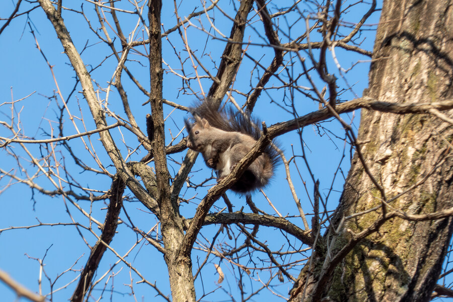 2월 망한 탐조_14.jpg