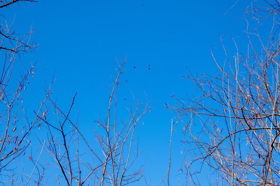 2월 망한 탐조_20.jpg