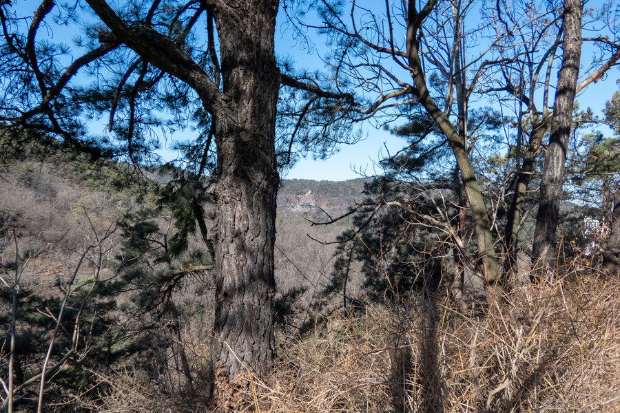 2월 망한 탐조_21.jpg