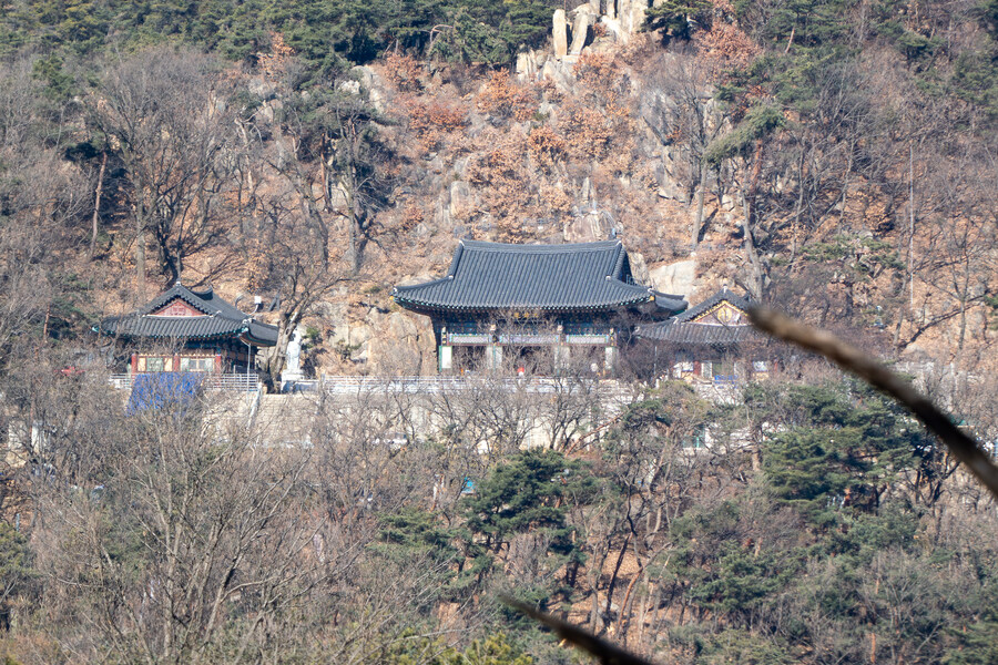 2월 망한 탐조_22.jpg