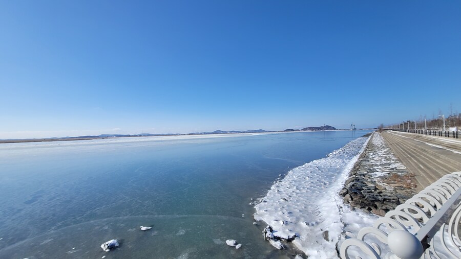 2월 시화호 북단 및 오이도 탐조_7.jpg