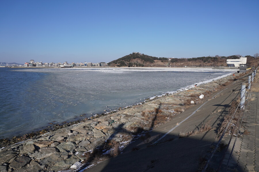 2월 시화호 북단 및 오이도 탐조_43.jpg