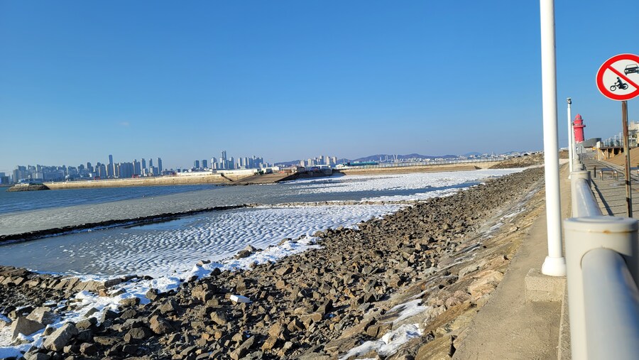 2월 시화호 북단 및 오이도 탐조_53.jpg