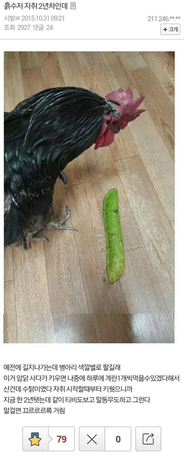 흙수저 자취 2년차 친구가 생겼다_1.jpg