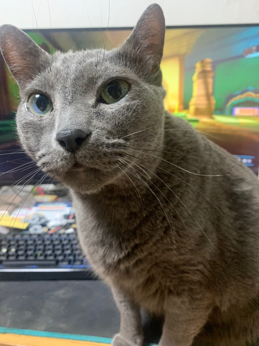 몬헌월드에 가지고 있는 추억_4.jpg