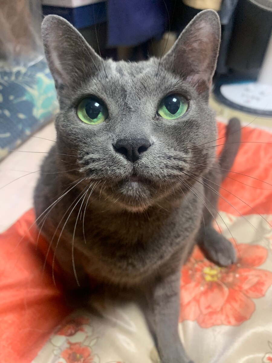 몬헌월드에 가지고 있는 추억_5.jpg