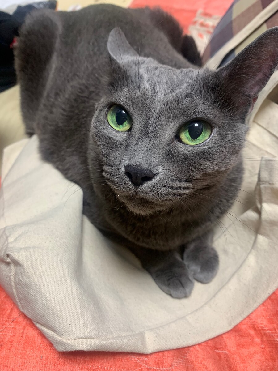 몬헌월드에 가지고 있는 추억_6.jpg