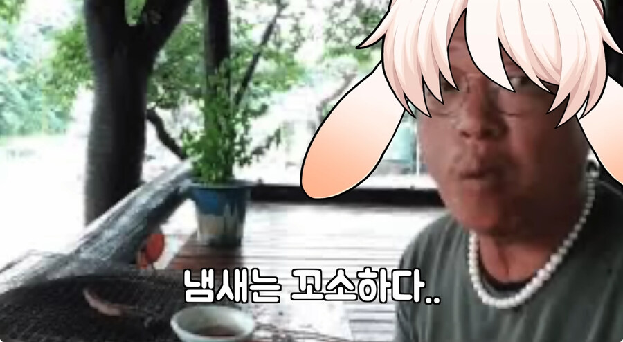시청자들이 자꾸 개밥먹는다고 해서 빡친 버튜버_6.jpg