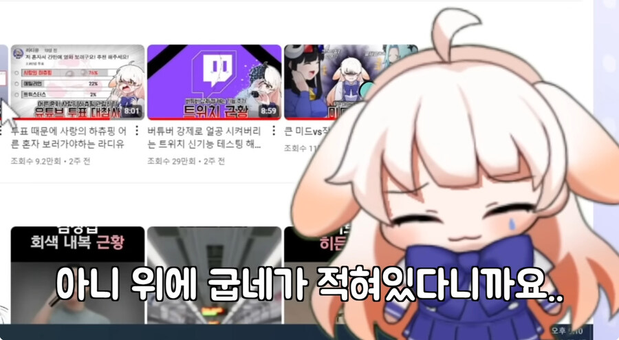 시청자들이 자꾸 개밥먹는다고 해서 빡친 버튜버_30.jpg