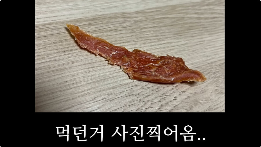 시청자들이 자꾸 개밥먹는다고 해서 빡친 버튜버_35.jpg