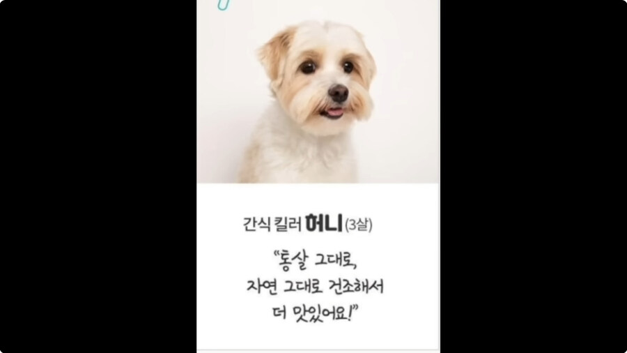 시청자들이 자꾸 개밥먹는다고 해서 빡친 버튜버_61.jpg