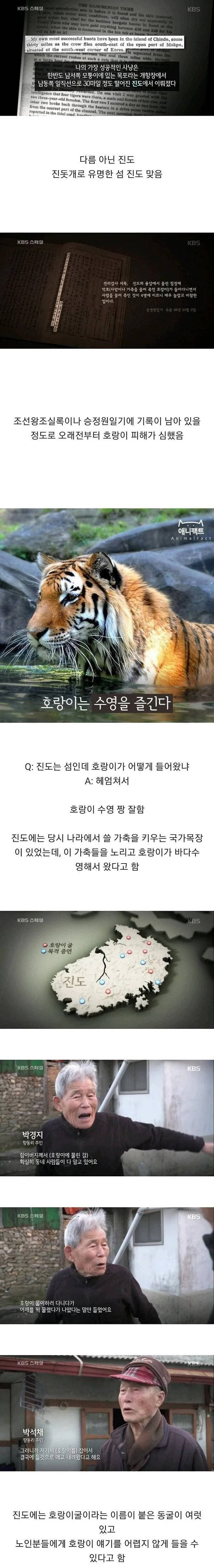 조선시대 때 호랑이 피해가 컸던 지역.jpg_1.jpg