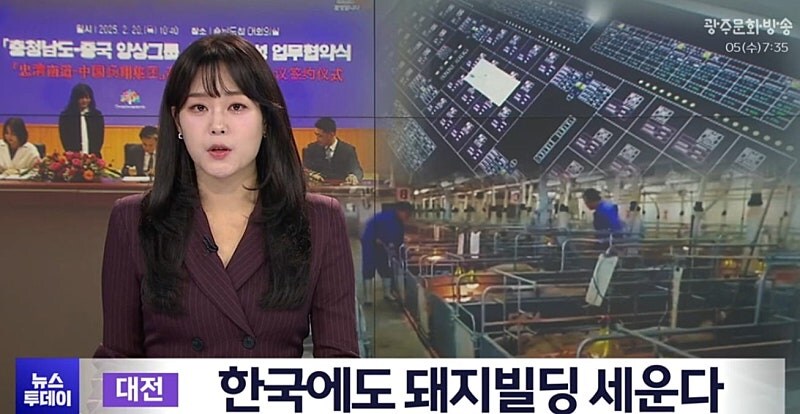 충남 '돼지빌딩' 추진...동물단체 반발_1.jpg