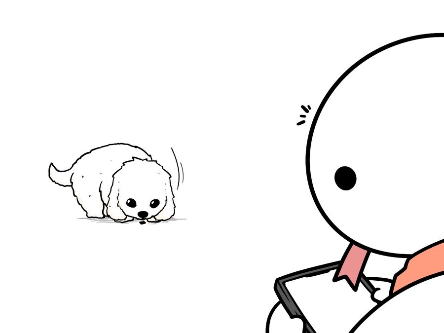 견주들이 긴장하는 순간.jpg_2.jpg