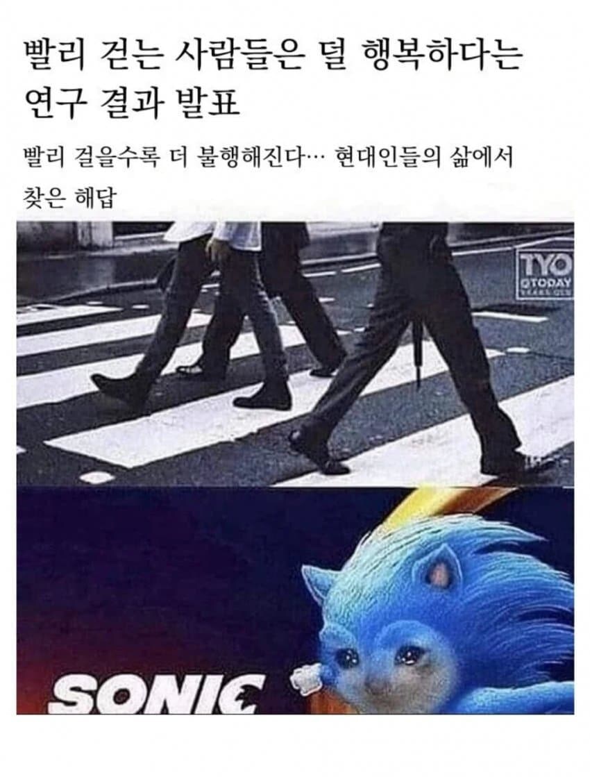 무한 불행의 소닉._1.jpg