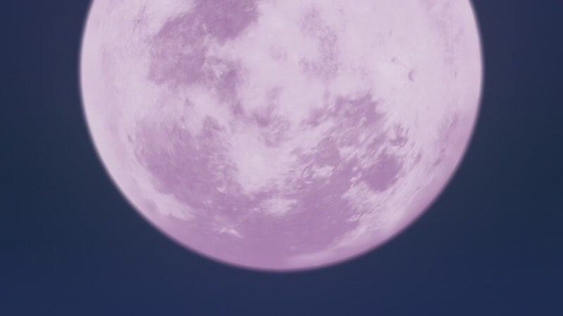 약사의혼잣말) ㅅㅂ 내가 창녀지만 그런 저에게도 자존심이라는게 있답니다._53.jpg