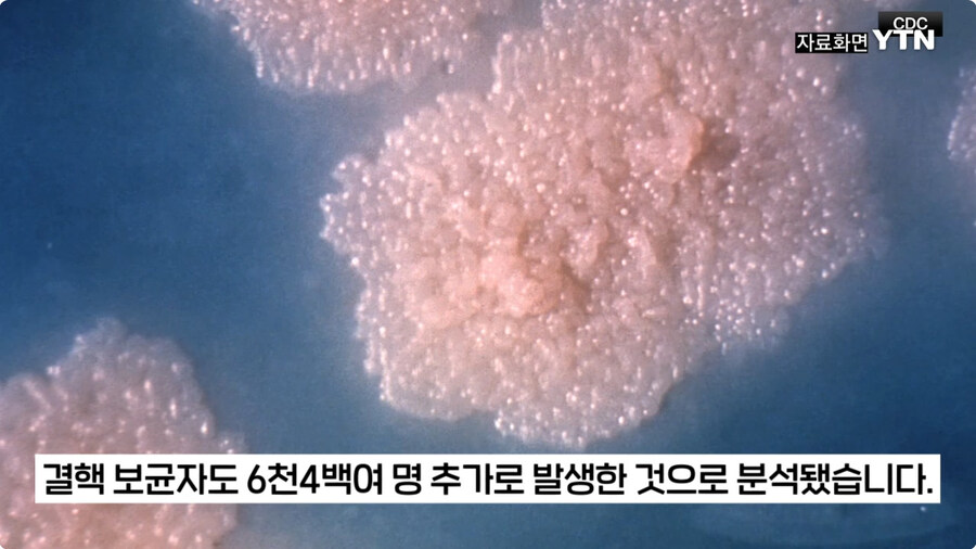 도람푸랑 머스크가 낭비라고 생각하면서 죽여버린거_6.jpg