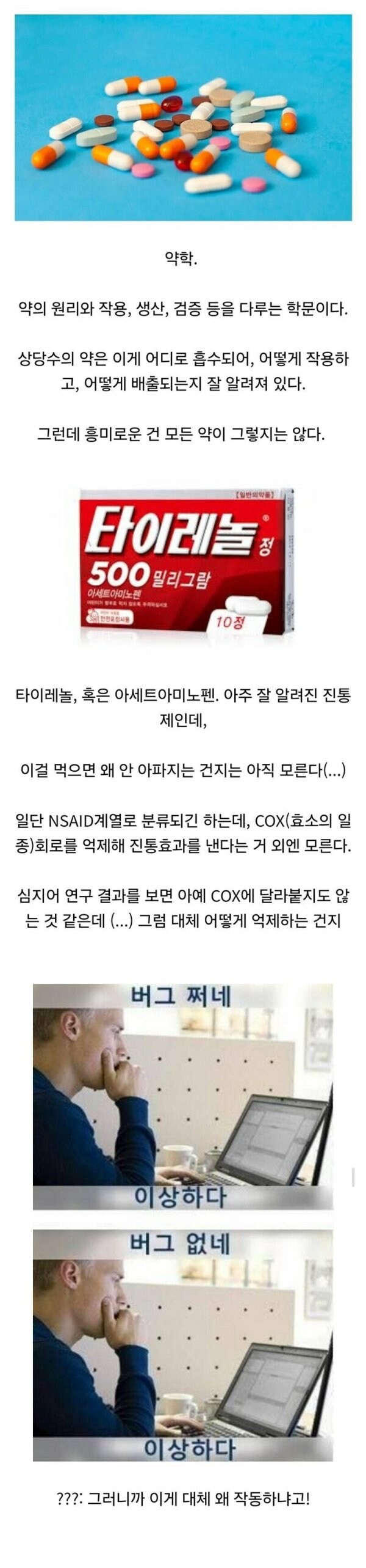 진통제 타이레놀의 신비 ㄷㄷ.jpg_1.jpg