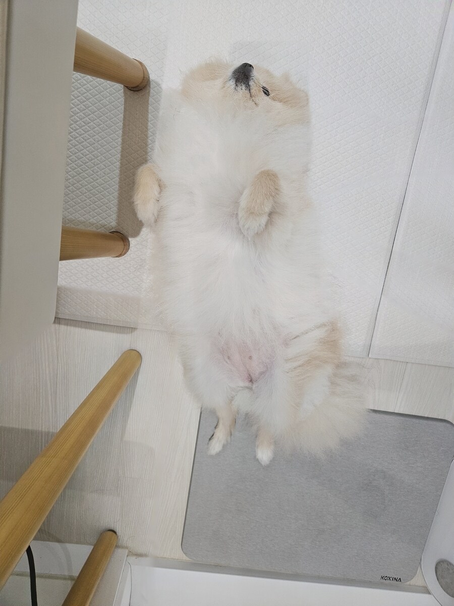 출근할 때마다 너무 고통스럽다...._2.jpg