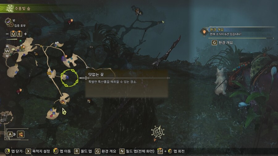 주홍빛 숲 덧없는 꽃 위치_2.png