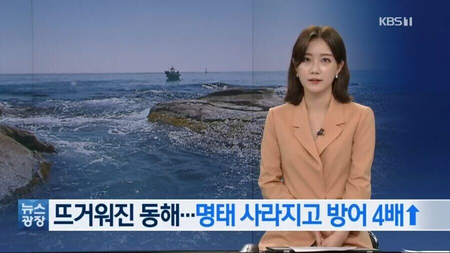 개쓰레기 효과_1.jpg