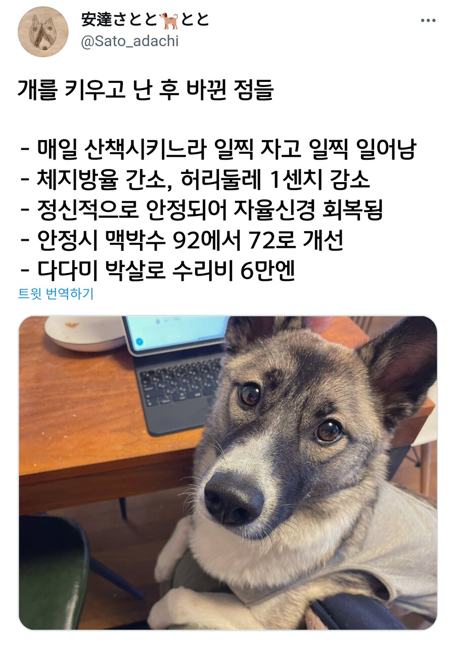 개를 키우고 바뀐 점이 많다는 일본인_1.png