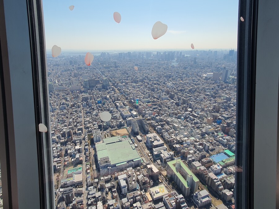 오사카만 가서 지겨운 오타쿠의 다시가는 도쿄여행 세번째(스압, 데이터주의)_65.jpg