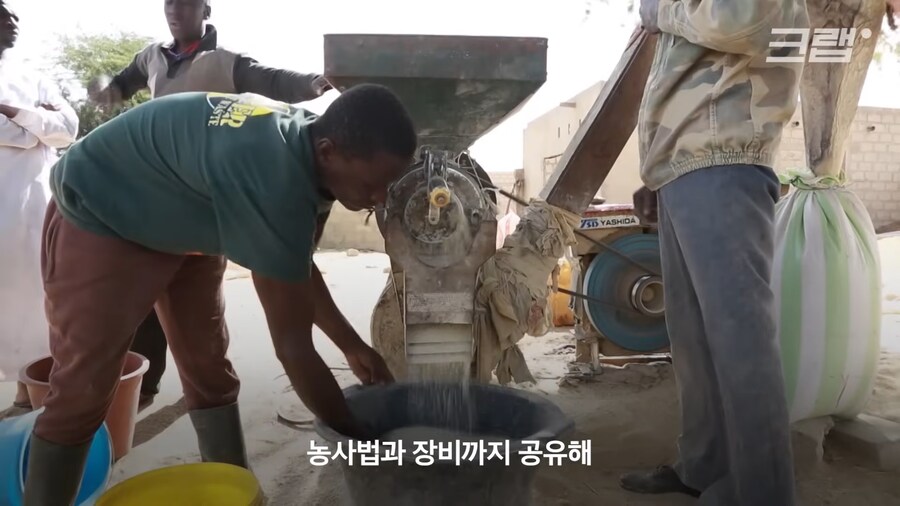 근래 떡상한 한국 쌀 품종류 甲_4.png