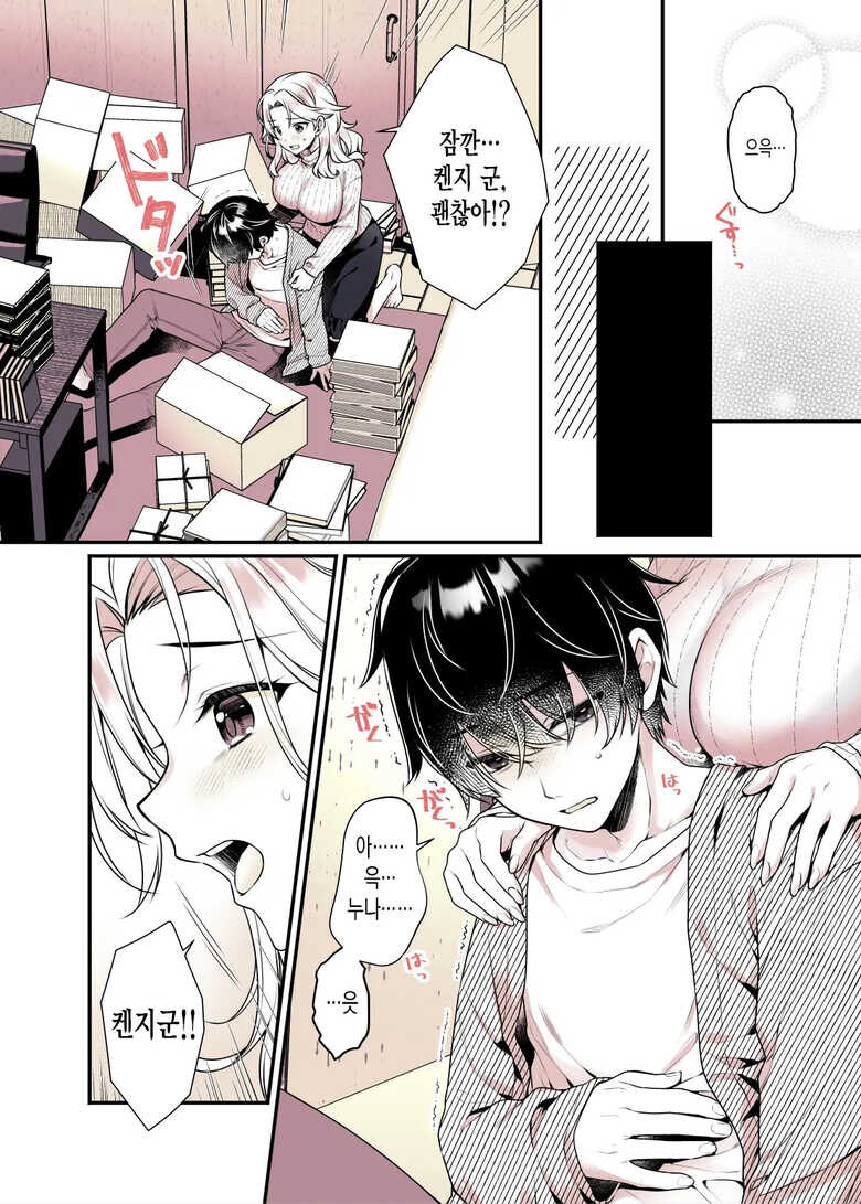 누나의 가슴을 좋을대로 해도 괜찮은 만화_6.jpg