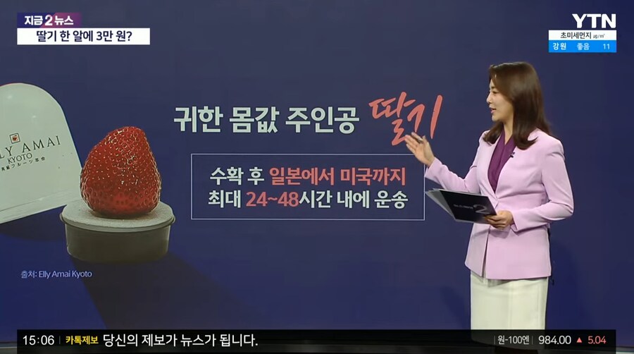 개당 3만원짜리 딸기.jpg_4.png
