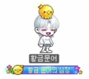 메이플 스타포스 30성 확장! Maple Now 김창섭 디렉터 라이브 3월 13일_28.jpg